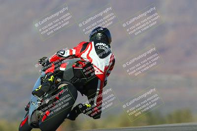 media/Jan-13-2024-SoCal Trackdays (Sat) [[9c032fe5aa]]/Turn 9 Backside (110pm)/